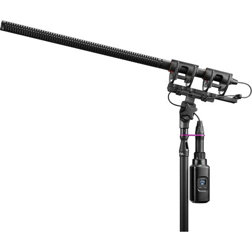 SHURE SLXD3 Transmisor digital XLR enchufable, Para micrófonos de mano y de cañón XLR, compatible con los receptores SLXD4, SLXD4D y SLXD5. Compacto y ligero,