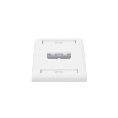 Placa de Pared Vertical Clásica, Salida Para 2 Puertos Mini-Com, Con Espacios Para Etiquetas, Color Blanco