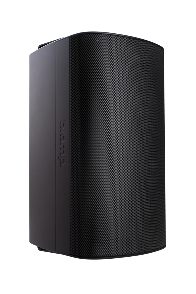 BIAMP Desono EX-S10SUB-UB-B subwoofer de 10 pulgadas, para montaje en superficie, para interiores y exteriores, color negro; funcionamiento a 8 ohmios, incluye soporte, 300W continuos, 1200W pico