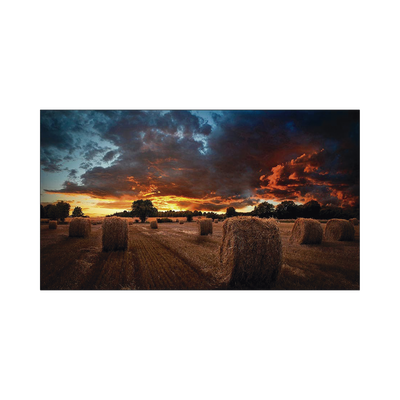 Pantalla Profesional de 46" para Video Wall, Full HD (1080p), HDMI/DVI-D, Bisel Ultra Delgado de 2.25mm. Compatible VESA