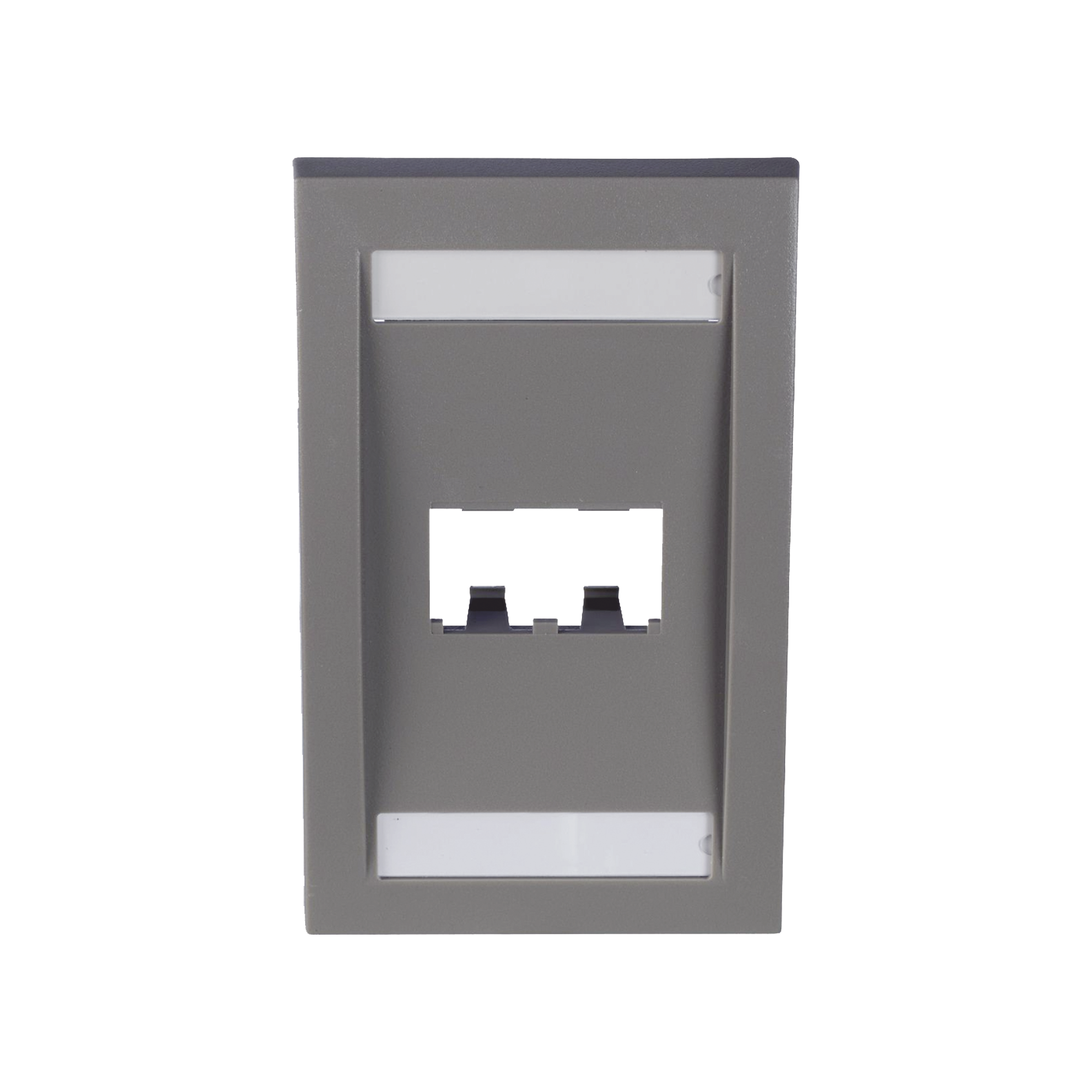 Placa de Pared Vertical Ejecutiva, Salida Para 2 Puertos Mini-Com, Con Espacios Para Etiquetas, Color Gris
