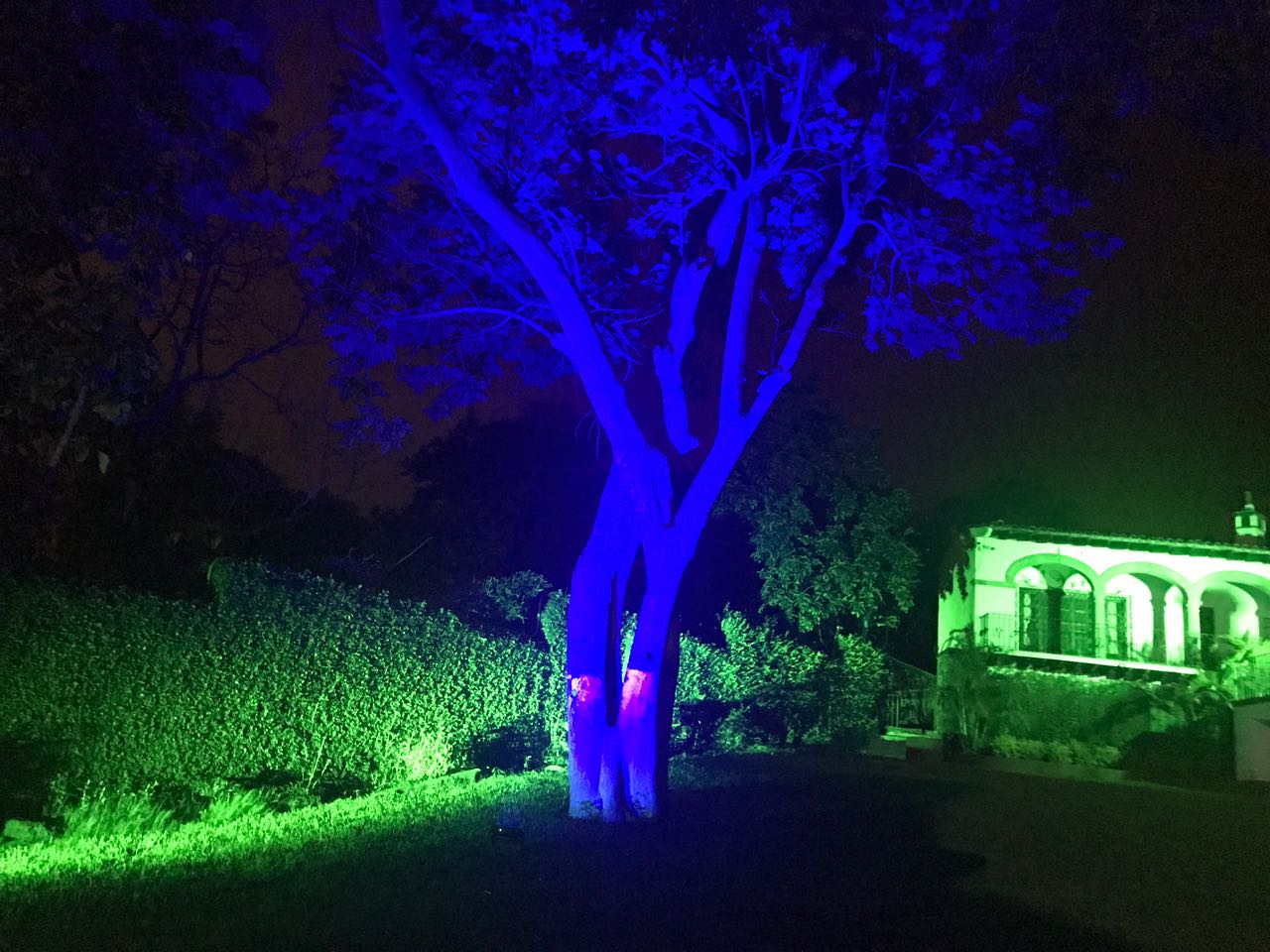 SGM Q7 Color Flood Proyector LED 450W, RGBW óptica 110º, IP65 W-DMX compatible RDM, CTC 2000k -10,000k Dimmer 16bit Flicker free. Escenas programables