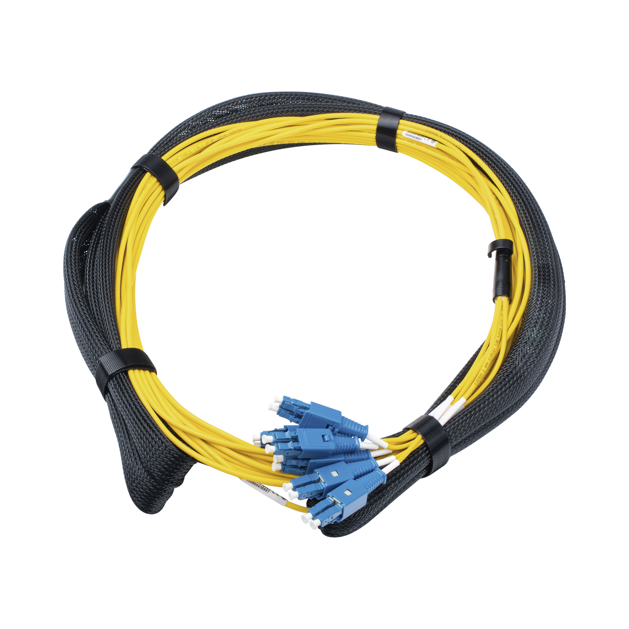 Jumper Troncal de Fibra Óptica Monomodo OS2, de MTP a 12 LCU Duplex Blade Patch, de 10 Metros