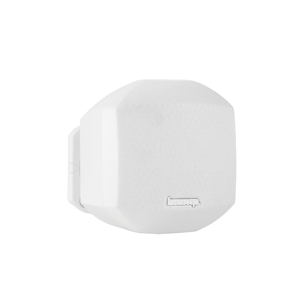 BIAMP MASK2-W Altavoz de gabinete compacto de 2.5 ".Potencia 8Ω de 50W Soporte de pared incluido Dispersión vertical y horizontal 110° Par