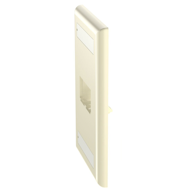 Placa de Pared Vertical Clásica, Salida Para 2 Puertos Mini-Com, Con Espacios Para Etiquetas, Color Marfil