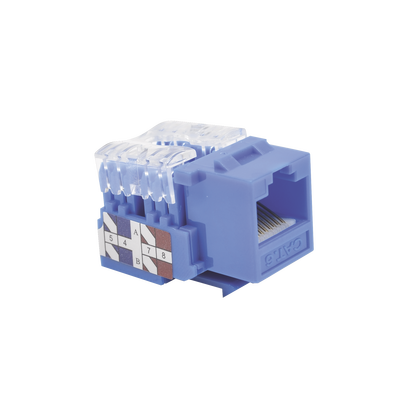 Módulo Jack 110 Cat6, Keystone para faceplate - Color Azul