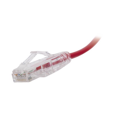 Cable de Parcheo Slim UTP Cat6 - 30 cm Rojo Diámetro Reducido (28 AWG)