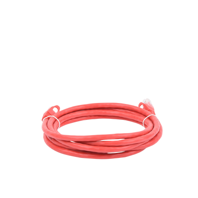 Cable de parcheo UTP Cat6 - 2 m - rojo