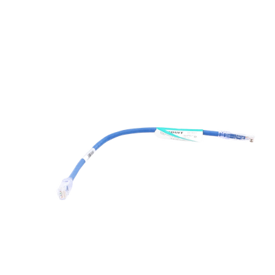 Cable de parcheo UTP Categoría 6, con plug modular en cada extremo - 1 ft (30.48 cm) - Azul