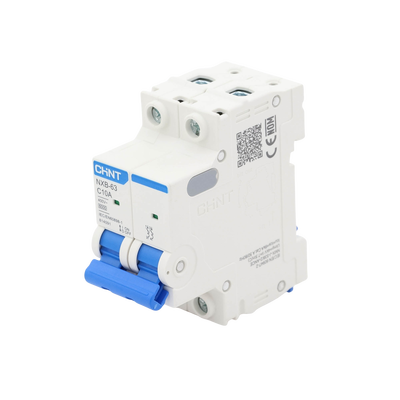 Pastilla para Riel Din, 2 Polos, 10 Amp, Vca:110/415v, 6kA, Catálogo: NXB632PC10, Serie: NXB-63.