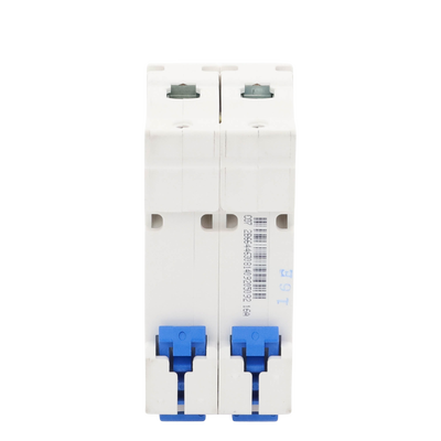 Pastilla para Riel Din, 2 Polos, 16 Amp, Vca:110/415v, 6kA, Catálogo: NXB632PC16, Serie: NXB-63.