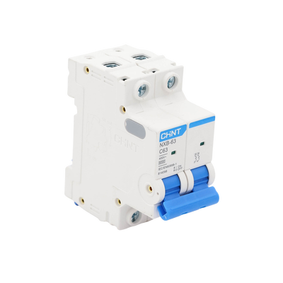 Pastilla para Riel Din, 2 Polo, 63 Amp, Vca:110/415v, 6kA, Catálogo: NXB632PC63, Serie: NXB-63.