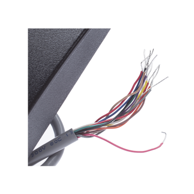 OMNICASS2 SMART + PROX  US GANG READER WIEGAND 50CM/18" PIGTAIL