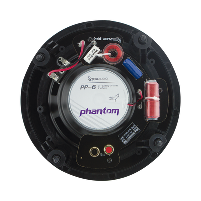 Altavoz de techo de 2 vías | woofer de 8in | 120 watts | 8 Ohms