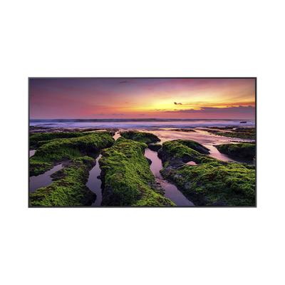 Pantalla Profesional LED de 55", UHD 4K (3840x2160p), Entradas de Video HDMI, Bocinas Integradas de 10 W. Compatible VESA