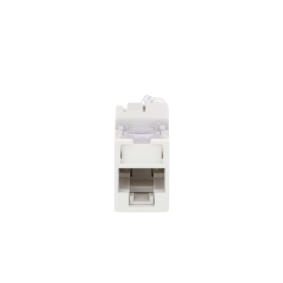 Jack UltraMAX Cat6, UTP, Montaje híbrido en Placa de Pared (Plano y Angulado), Color Blanco, Punch Down