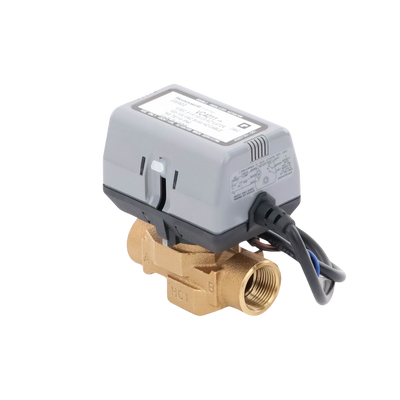 Válvula 3/4 De 2 Vías Conexión de rosca BSPT Con Actuador 40011 A 120V, On/off