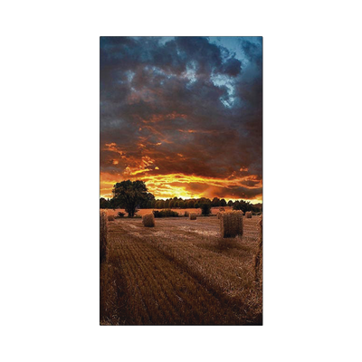 Pantalla Profesional de 46" para Video Wall, Full HD (1080p), HDMI/DVI-D, Bisel Ultra Delgado de 2.25mm. Compatible VESA