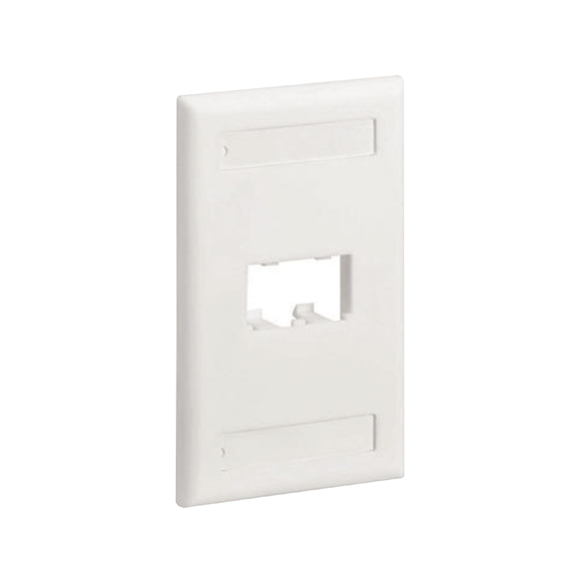 Placa de Pared Vertical Clásica, Salida Para 2 Puertos Mini-Com, Con Espacios Para Etiquetas, Color Blanco Mate