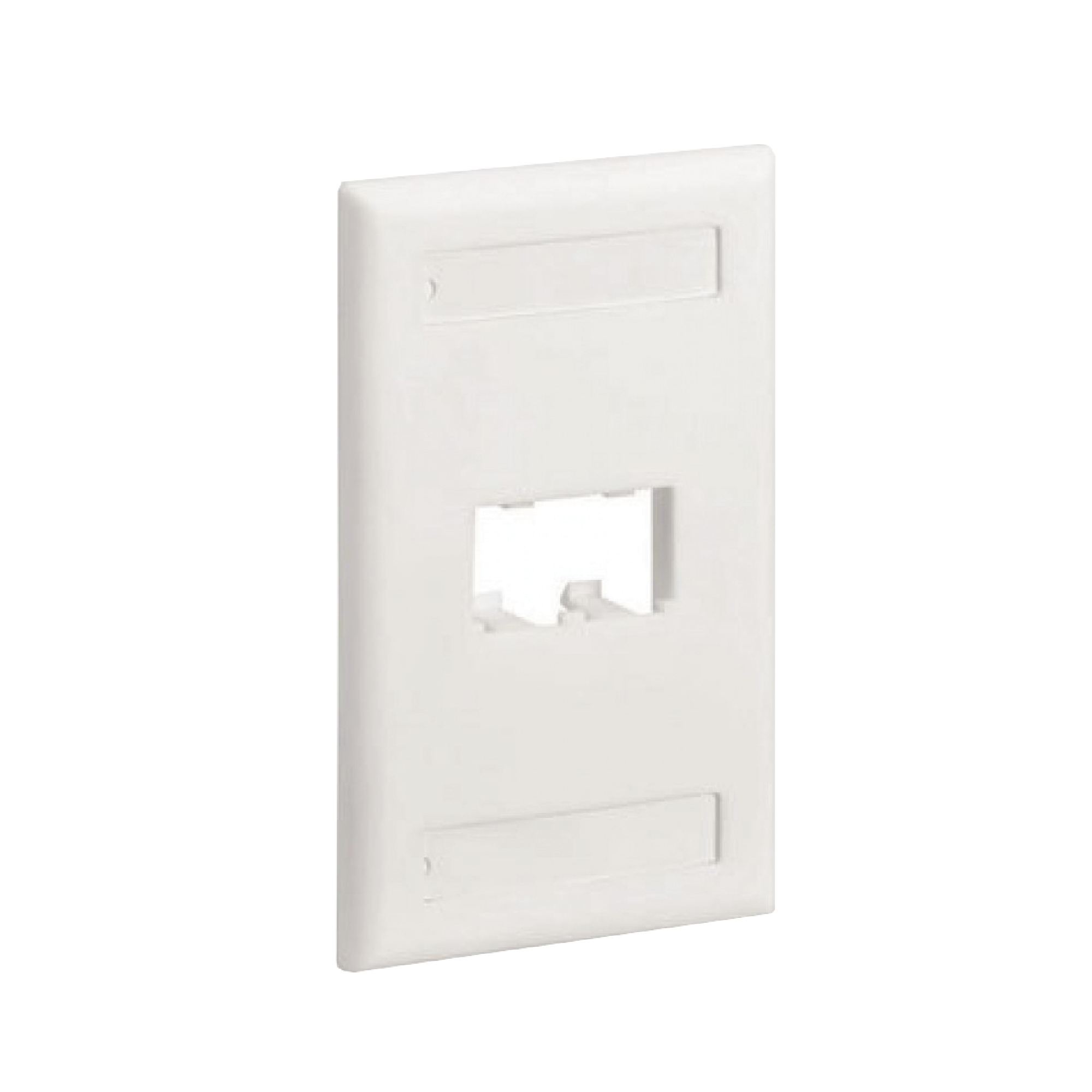 Placa de Pared Vertical Clásica, Salida Para 2 Puertos Mini-Com, Con Espacios Para Etiquetas, Color Blanco